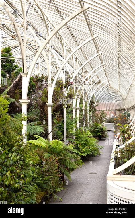 Inside one of the beautiful glasshouses at the National Botanic Gardens ...