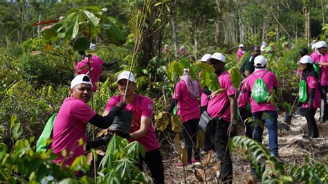 Aeon Sasar Tanam 30000 Pokok Menjelang 2024 Menerusi Program Kerjasama