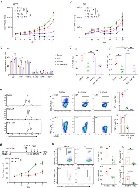 B16 Cancer Cell Lines ATCC Bioz