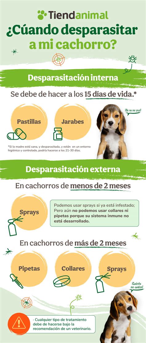 Cuanto Deben Comer Los Cachorros De 3 Semanas