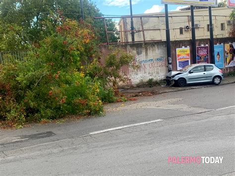 Urta Un Albero Investe Un Cartello Stradale E Finisce Contro Un Muro