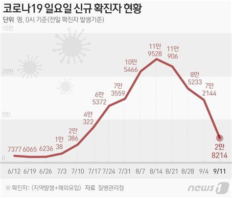 그래픽 코로나19 일요일 신규 확진자 현황11일 네이트 뉴스