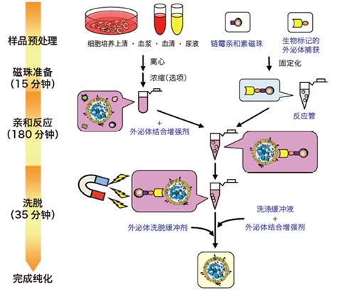 Wako Magcapture Exosome Ps