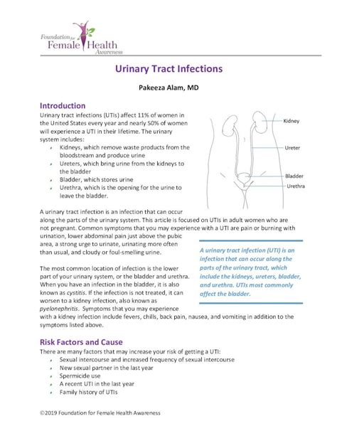 PDF Urinary Tract Infections Female Health Awareness Urinary