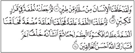 Surat Ke 12 Dalam Al Quran