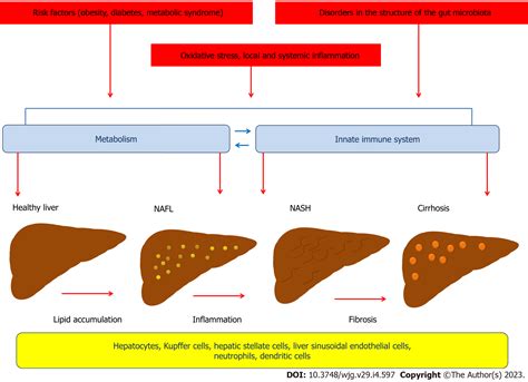 Immune And Metabolic Cross Links In The Pathogenesis Of Comorbid Non