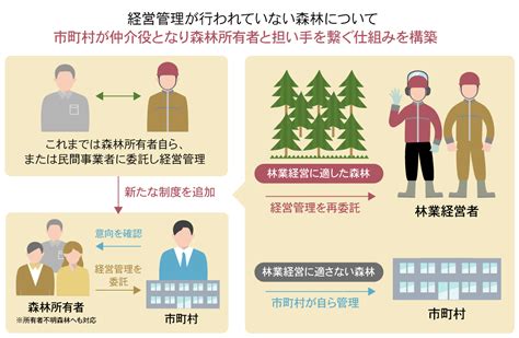 林業が抱える課題とは課題の解決策や取り組みを紹介 森の中森を知り感じるためのメディア 齋藤木材工業株式会社