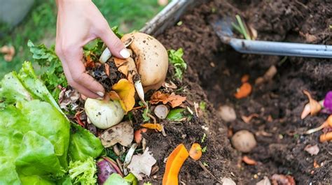 Premium Photo Hand Placing Vegetable Scraps Into Compost Pile In A