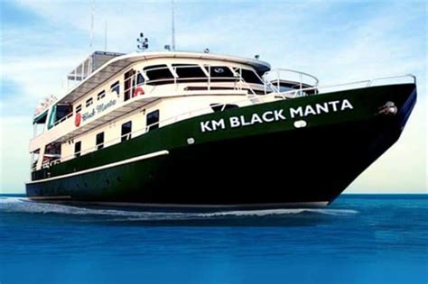 Mv Black Manta Diving Liveaboard Review Indonesia Komodo Island