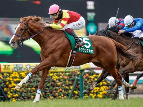 【京王杯sc出走馬・騎手確定】トウシンマカオ＆菅原明良騎手、ウインマーベル＆松山弘平騎手など15頭 ライブドアニュース