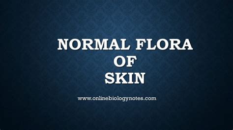 Normal flora of the Skin - Online Biology Notes