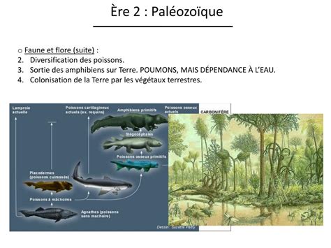 Ppt Histoire De La Vie Sur La Terre Powerpoint Presentation Free