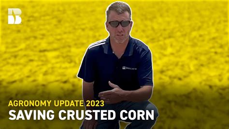 Saving Crusted Corn Beck S Agronomy Update Youtube