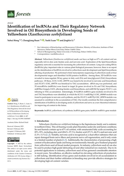 PDF Identification Of LncRNAs And Their Regulatory Network Involved