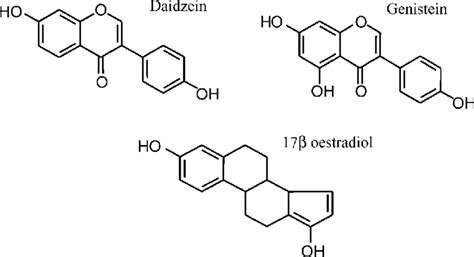 The Structure Of Genistein Daidzein And Oestradiol Download