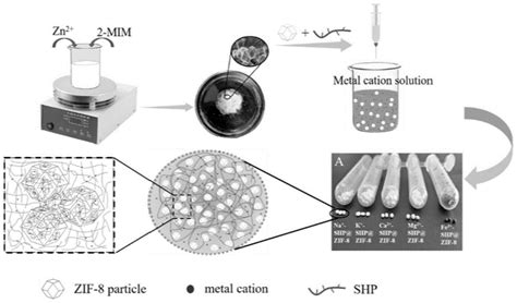 一种ZIF 8多孔凝胶微球的制备方法及应用与流程 2