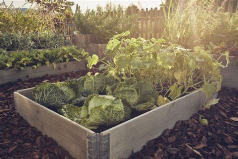 Ce Carr Potager En Bois S Ch Fsc Sans Produit Chimique Avec Coins