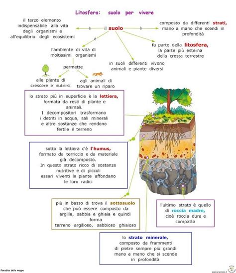 Paradiso Delle Mappe Litosfera Suolo Per Vivere Scienza Per Bambini