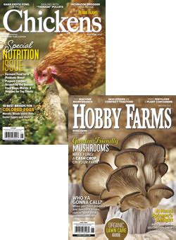 Chickens + Hobby Farms Combo - Hobby Farms