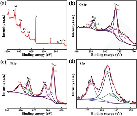 A Xps Spectra Of Survey B Co 2p C Ni 2p And D S 2p For The