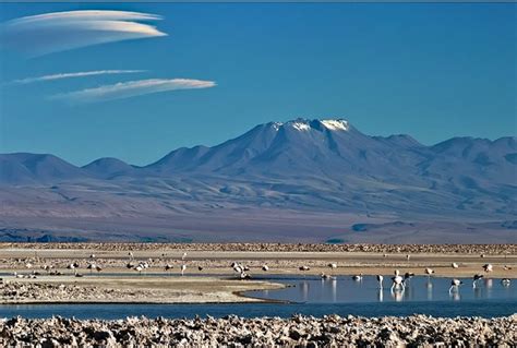 Atacama Salt Lake And Toconao Village Excursion With Rainbow Tours