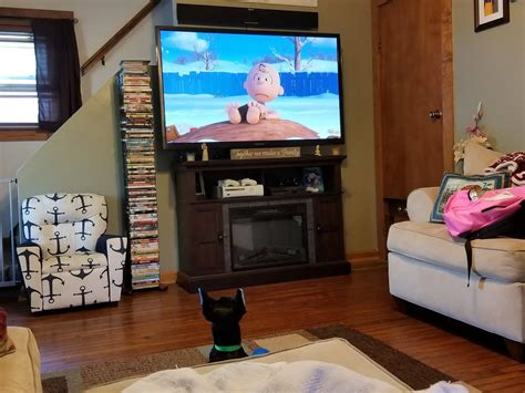 Watching The Truth About Charlie 2002 reveals a hidden cameo 19