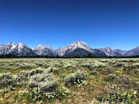 Camping in Grand Teton National Park with Kids | Raising Hikers