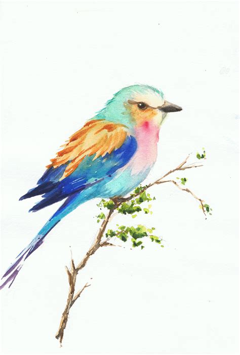 Pajaro Colorido Watercolor Acuarela By Isabel Mariasg Bird