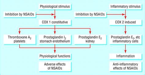 Understanding The Nsaid Related Risk Of Vascular Events The Bmj