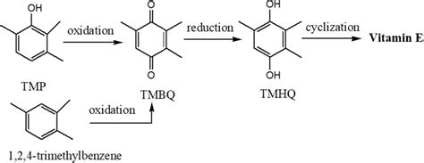 The Synthesis Route Of Vitamin E Download Scientific Diagram