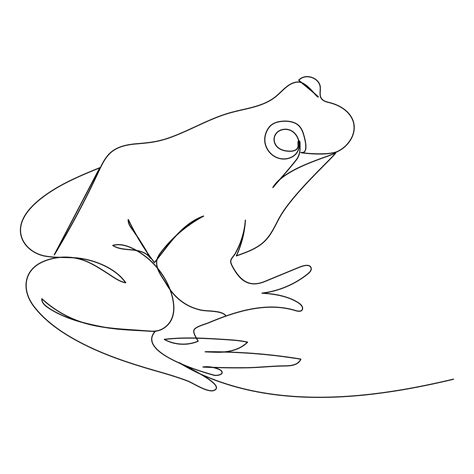 Vector Frog Line Art Drawing Illustration 40977736 Vector Art At Vecteezy