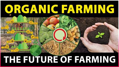 Importance of Organic Farming | What is Organic Farming | Sustainable ...