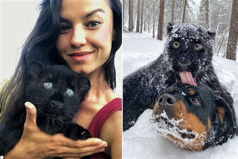 Luna the panther becomes best friends with a doggo in real-life Disney ...