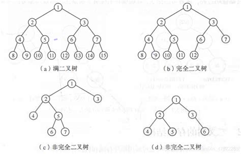 【数据结构】树和二叉树详细分析（全）树与二叉树 Csdn博客