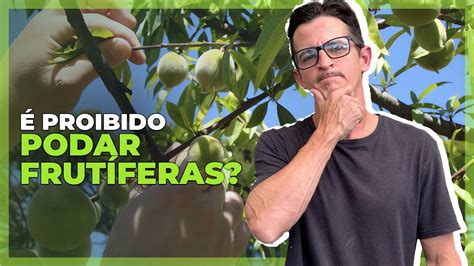 É verdade que não se pode podar frutíferas Plantei Garden Center