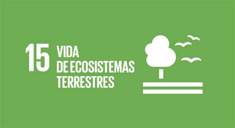 Objetivo 15 Vida De Ecosistemas Terrestres Agenda 2030 Gobierno Gob Mx