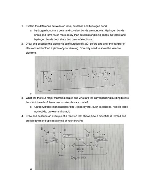 Case Study Ionic Covalent Hydrogen Bonds Explain The Difference