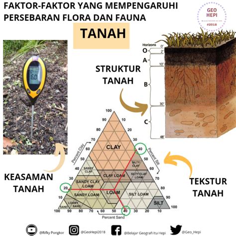 Faktor Utama Yang Mempengaruhi Terbentuknya Tanah Adalah Homecare24