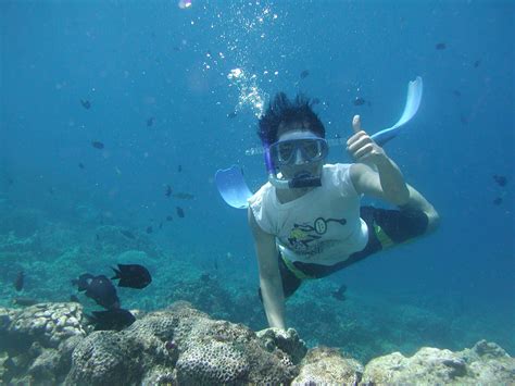 Things To Do In Koh Lipe Koh Lipe Snorkeling Koh Lipe Diving Koh