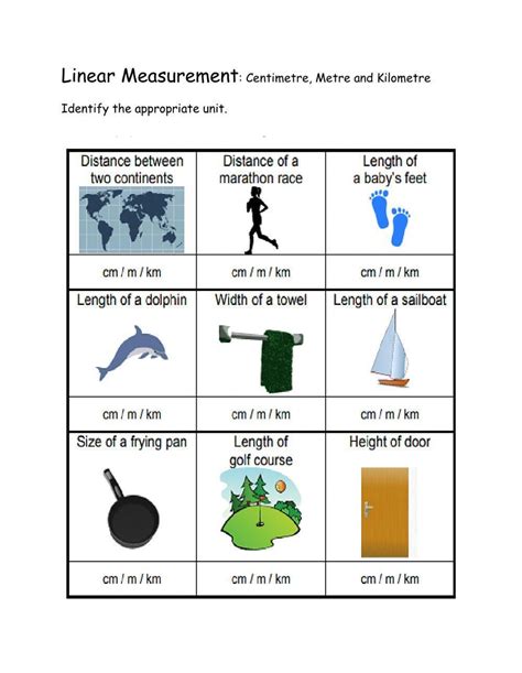 Linear Measure Worksheet Live Worksheets