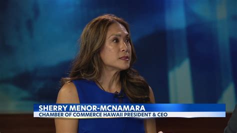 Hawaii Chamber Of Commerce President Discusses New Federal Grant