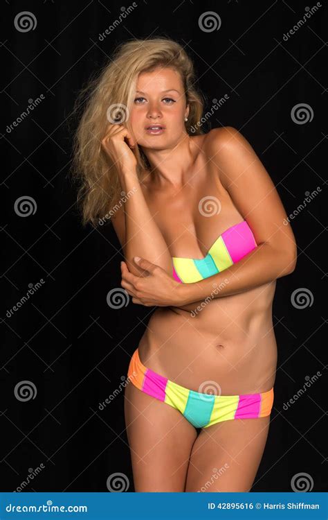 Bikini Stock Photo Image 42895616