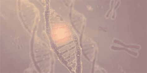 FUS & ALS -How FUS Fits into the Bigger RNA Protein Picture