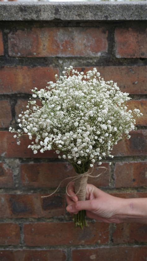 Babys Breath Bouquet Dried Flower Bride Bridesmaid Flowergirl Etsy