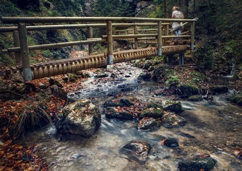 Wooden Bridge Over The Mountain Stream Stock Image Image Of Beauty