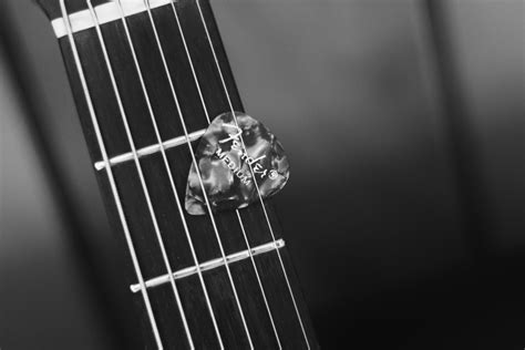 Fotos Gratis Mano En Blanco Y Negro Guitarra Acustica Instrumento