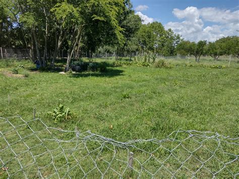 La Municipalidad Puso En Marcha Las Huertas Familiares Del Bioparque