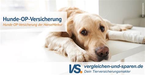 HanseMerkur Hunde OP Versicherung Ab 7 59