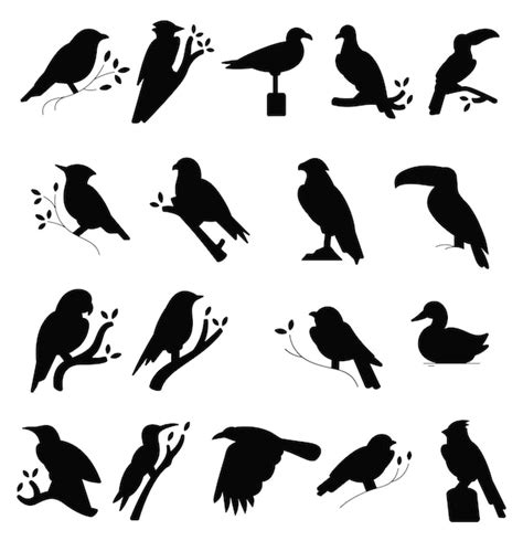 Premium Vector Various Bird Different Poses Flat Vector Silhouettes