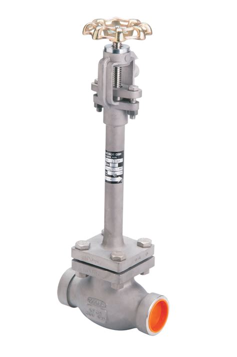 Rego Globe Valves For Cryogenic Service Fas Englisch